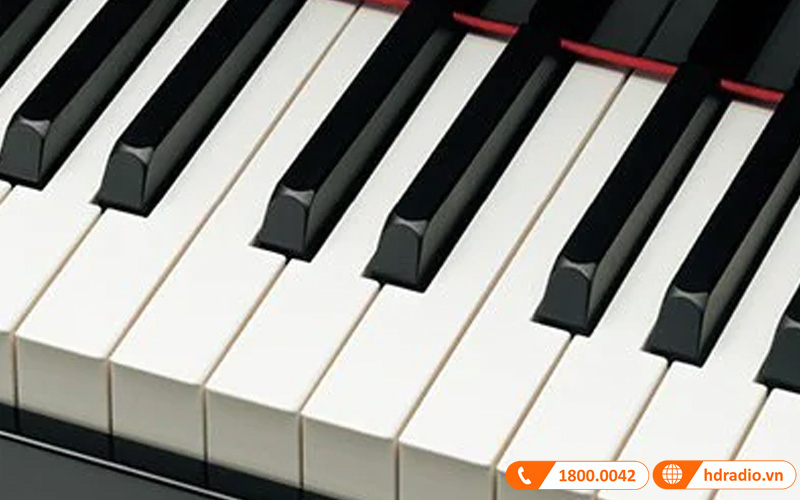 Đàn Piano Yamaha C6X-10