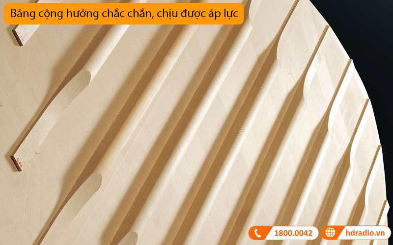 Đàn Piano Yamaha C6X-14