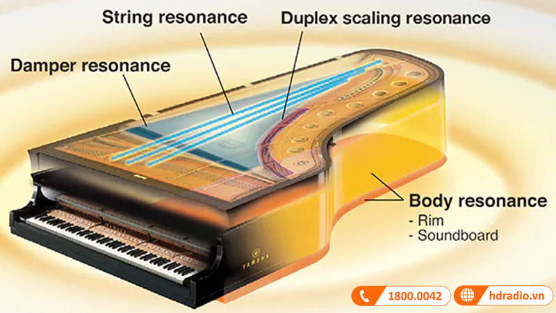 Đàn Piano Yamaha CLP-765GP-6