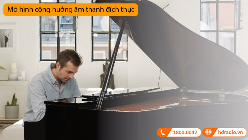 Đàn Piano Yamaha CLP-795GP, piano điện-11