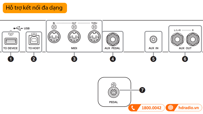 Đàn Piano Yamaha CLP-795GP, piano điện-23