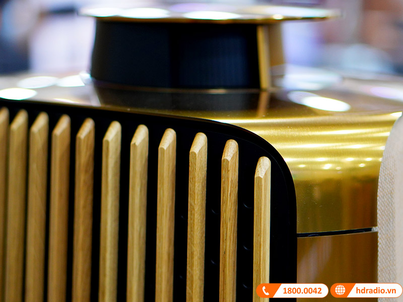 Loa B&O Beolab 50 Chính Hãng, Công Suất mỗi loa 2100W, Bluetooth, Wifi, Optical, RCA, USB (Cặp Loa Đứng Hi-End)-10