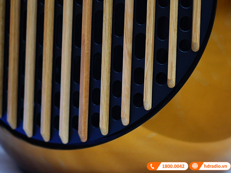 Loa B&O Beolab 50 Chính Hãng, Công Suất mỗi loa 2100W, Bluetooth, Wifi, Optical, RCA, USB (Cặp Loa Đứng Hi-End)-20