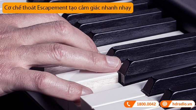 Đàn Piano Yamaha CLP-735, piano điện-8