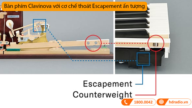 Đàn Piano Yamaha CLP-775-8