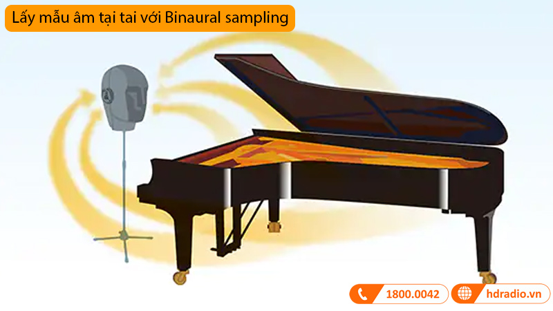 Đàn Piano Yamaha CLP-775-11