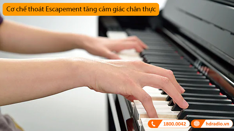 Đàn Piano Yamaha CLP-785-9