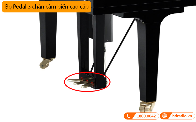 Đàn Piano Yamaha DC7X ENPRO, grand piano-21