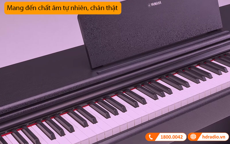 Đàn Piano Yamaha YDP-105, 88 Phím GHS, 10 âm sắc, 64 âm Polyphony, âm thanh AMW Stereo Sampling-5