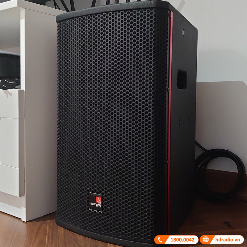 Dàn Karaoke cao cấp HDR79 ( Tecnare E10, Công suất, Vang số, Micro K800, Loa Sub )-4
