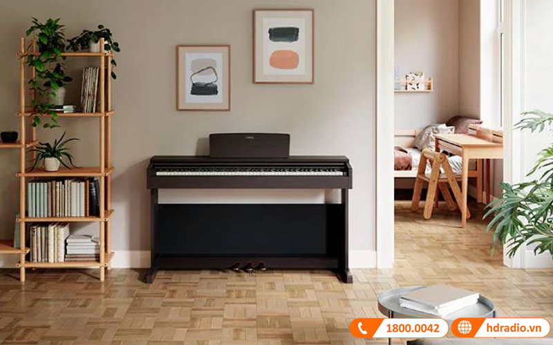 Đàn Piano Yamaha YDP-184-19