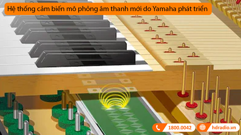 Đàn Piano Yamaha U1 SH3, upright piano-7