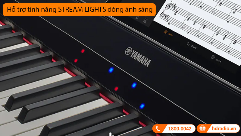 Đàn Piano Yamaha P-S500, piano điện-10