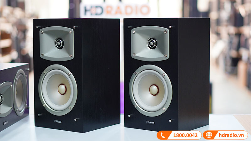 Bộ Loa Yamaha NS P350 (SR+Center)-9