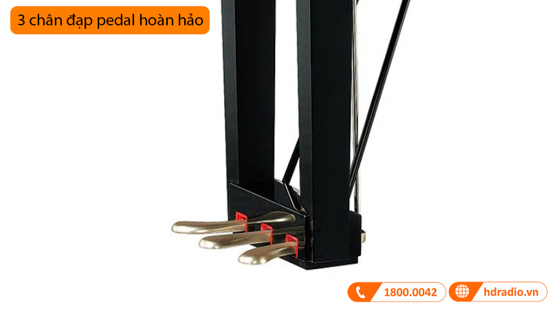 Đàn Piano Yamaha C2X SH3, grand piano-9