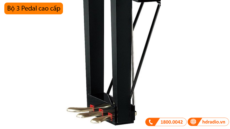 Đàn Piano Yamaha C3X SH3, grand piano-10