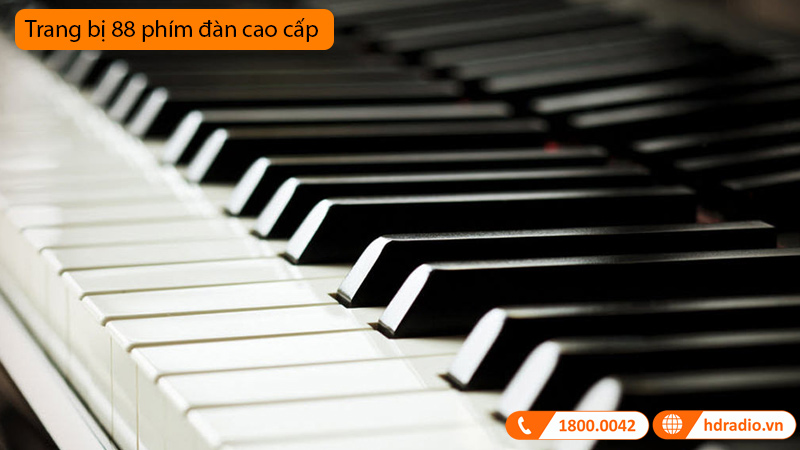 Đàn Piano Yamaha C5X SH3-6