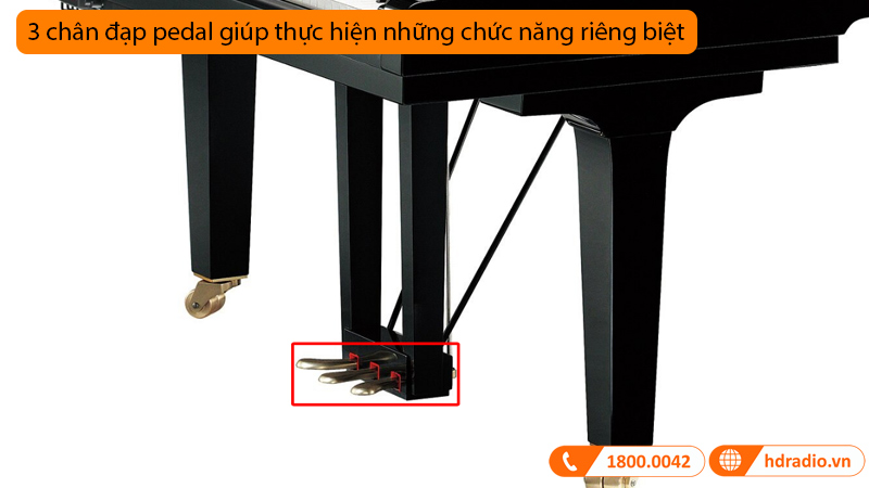 Đàn Piano Yamaha C6X SH3, grand piano-9