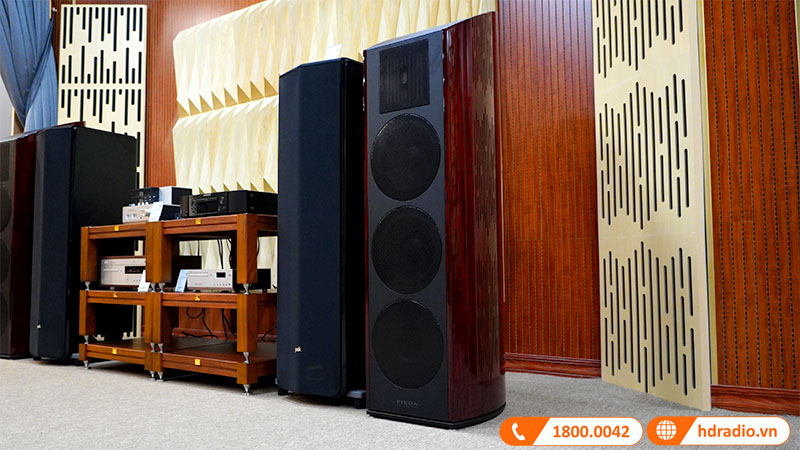 Loa Piega Classic 80.2 (Độ nhạy 93dB, Tần số 22Hz-50KHz)-4