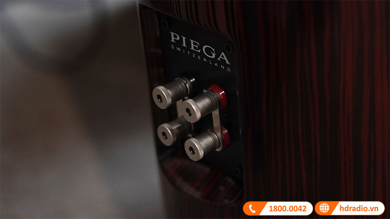 Loa Piega Classic 80.2 (Độ nhạy 93dB, Tần số 22Hz-50KHz)-13