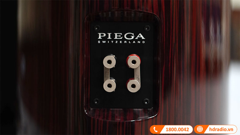 Loa Piega Classic 80.2 (Độ nhạy 93dB, Tần số 22Hz-50KHz)-14