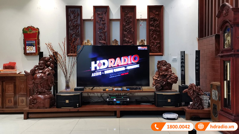 Dàn karaoke JBL HK85 (JBL 10A, Công suất, vang cơ, micro, Sub)-3