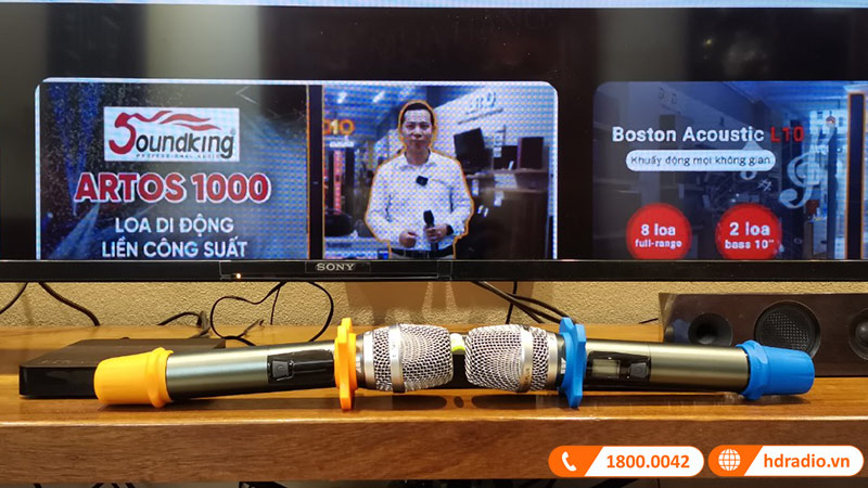 Dàn karaoke JBL HK85 (JBL 10A, Công suất, vang cơ, micro, Sub)-7