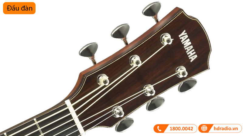 Đàn Guitar Yamaha A5M ARE, electro-acoustic guitar-9