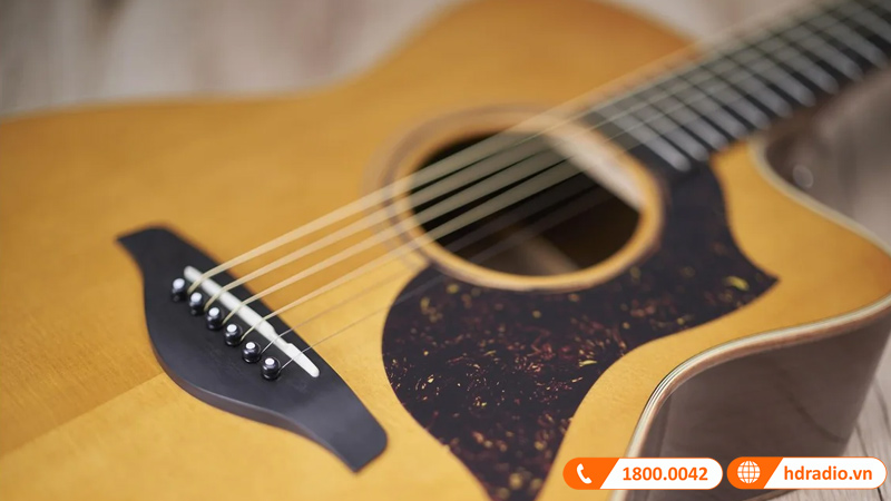 Đàn Guitar Yamaha A5M ARE, electro-acoustic guitar-21