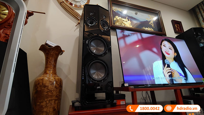 Dàn nghe nhạc cao cấp Luxman, Polk Audio NN82 (Polk Audio Legend L800, Luxman SQ-N150, Cambridge Audio DacMagic 200M)-3