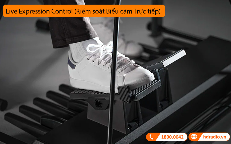 Đàn Electone Yamaha ELA-1, keyboard di động 2 tầng-15