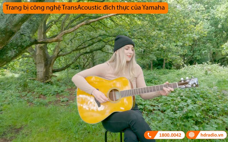 Đàn Guitar Yamaha LL-TA, electro-acoustic guitar-6