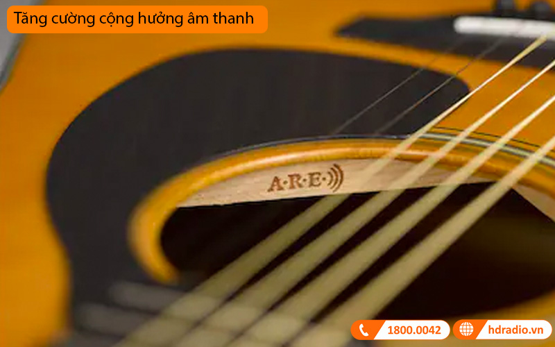 Đàn Guitar Yamaha FG5, acoustic guitar-5