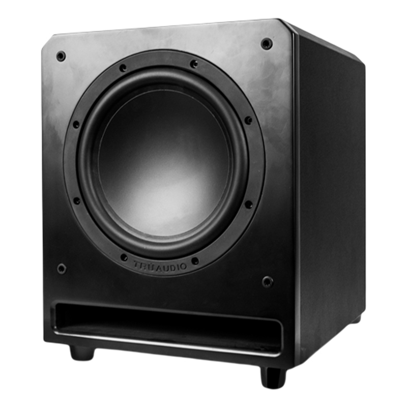 Loa âm trần Truaudio SS-10, Bass 25cm, 150W-1
