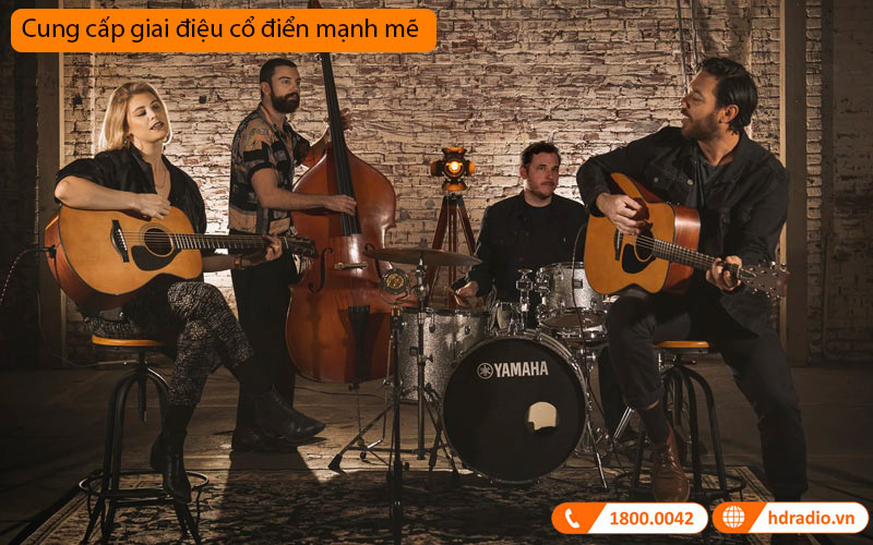 Đàn Guitar Yamaha FSX3, electro-acoustic guitar-3