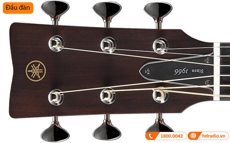 Đàn Guitar Yamaha FSX3, electro-acoustic guitar-7