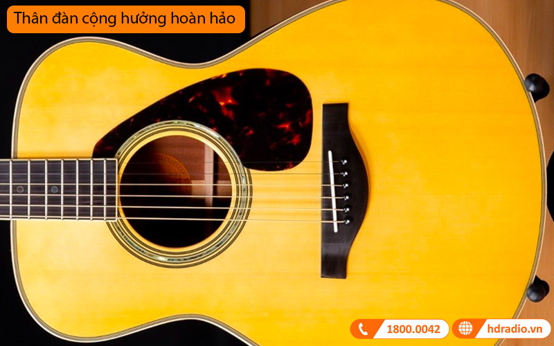 Đàn Guitar Yamaha LS16M ARE, electro-acoustic guitar-8