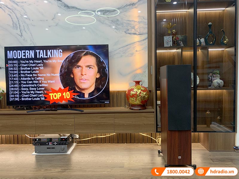 Dàn Nghe Nhạc và Hát Karaoke NK16 (JBL A190 + AXR100 + Micro + vang số)-3