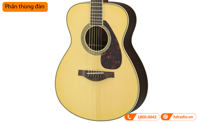 Đàn Guitar Yamaha LS6 ARE, electro-acoustic guitar-11