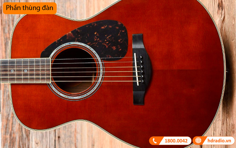 Đàn Guitar Yamaha LS16 ARE, electro-acoustic guitar-10