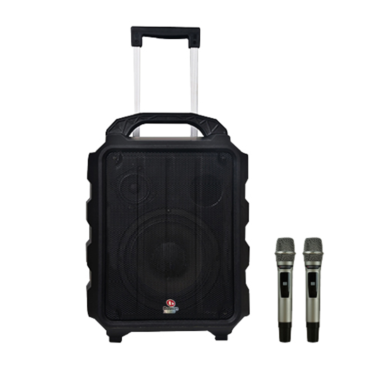 Loa Boston Acoustic H10P-1