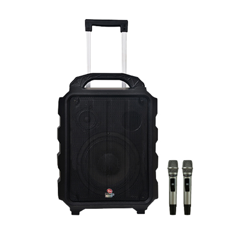 Loa Boston Acoustic H12P-1