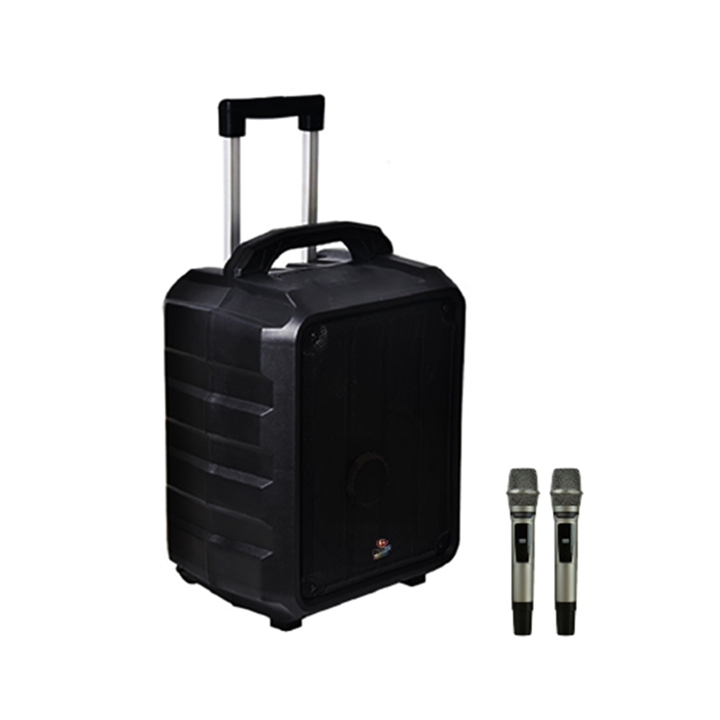 Loa Boston Acoustic H12P-2