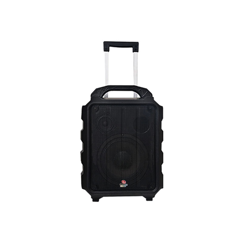 Loa Boston Acoustic H8P-1