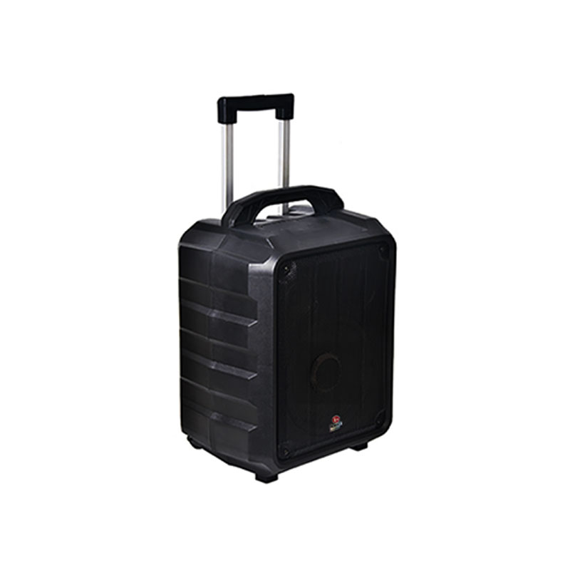 Loa Boston Acoustic H8P-2