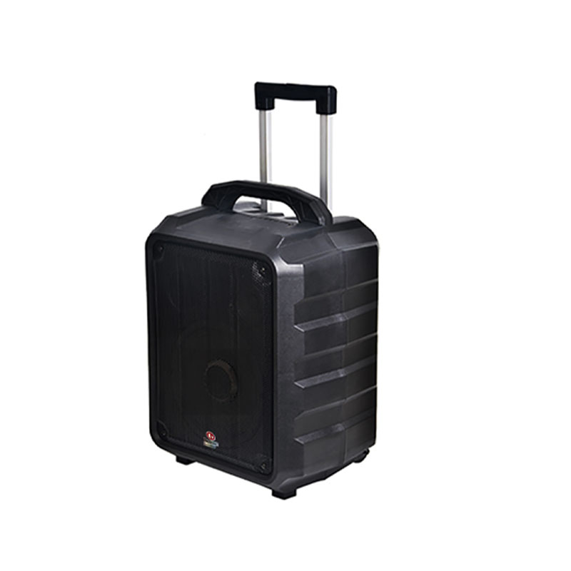 Loa Boston Acoustic H8P-3