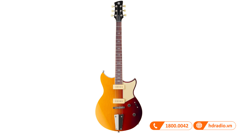 Đàn Guitar Yamaha RSP02T, guitar điện-10