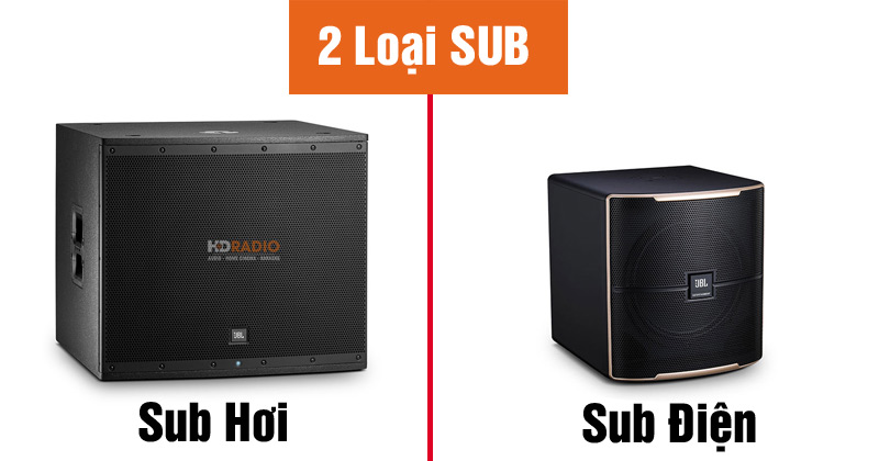 2-loai-loa-sub