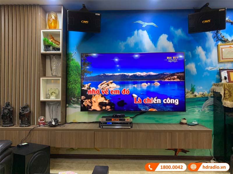 Dan karaoke cua chi Thanh