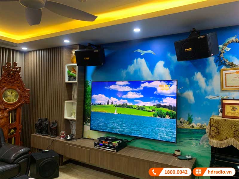 Dan karaoke cua chi Thanh